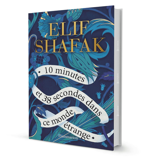 10 Minutes 38 Seconds in this Strange World by Elif Shafak - BooxWorm