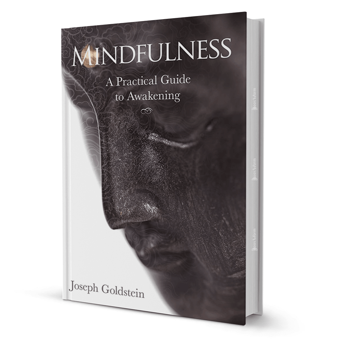 Mindfulness By Joseph Goldstein - BooxWorm