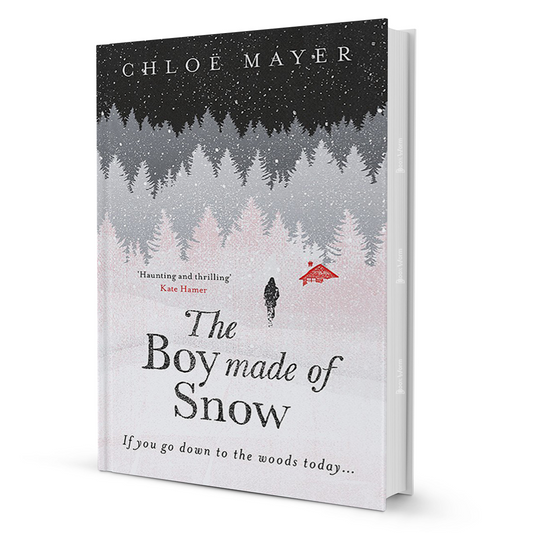The Boy Made Of Snow By Chloe Mayer - BooxWorm