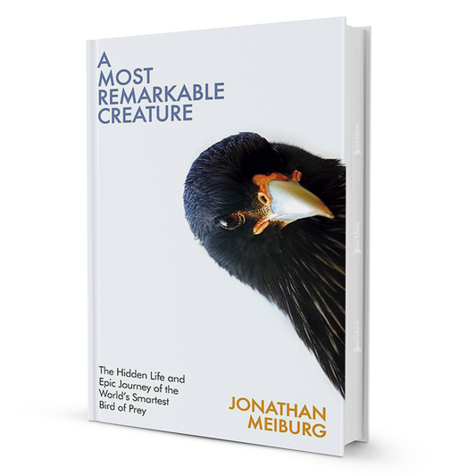 A Most Remarkable Creature By Jonathan Meiburg