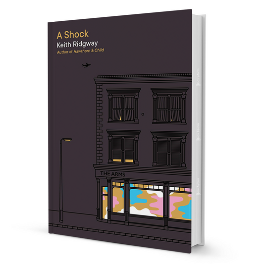 A Shock By Keith Ridgway