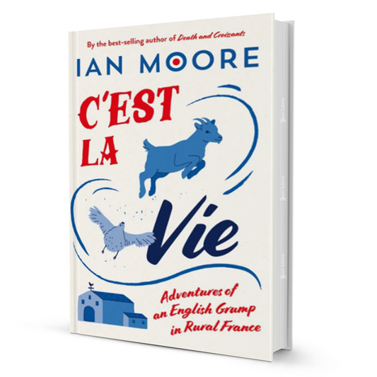 C'est La Vie By Ian Moore