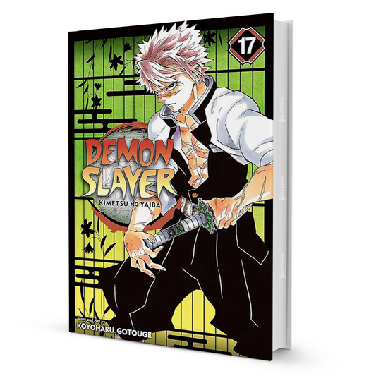Demon Slayer 17
