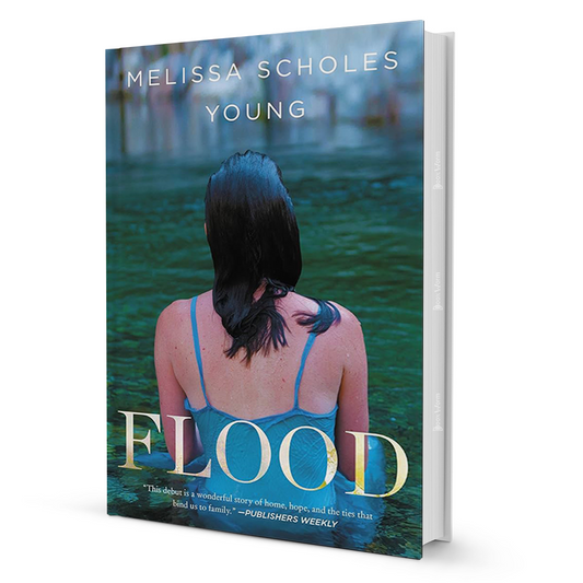 Flood By Melissa Scholes Young