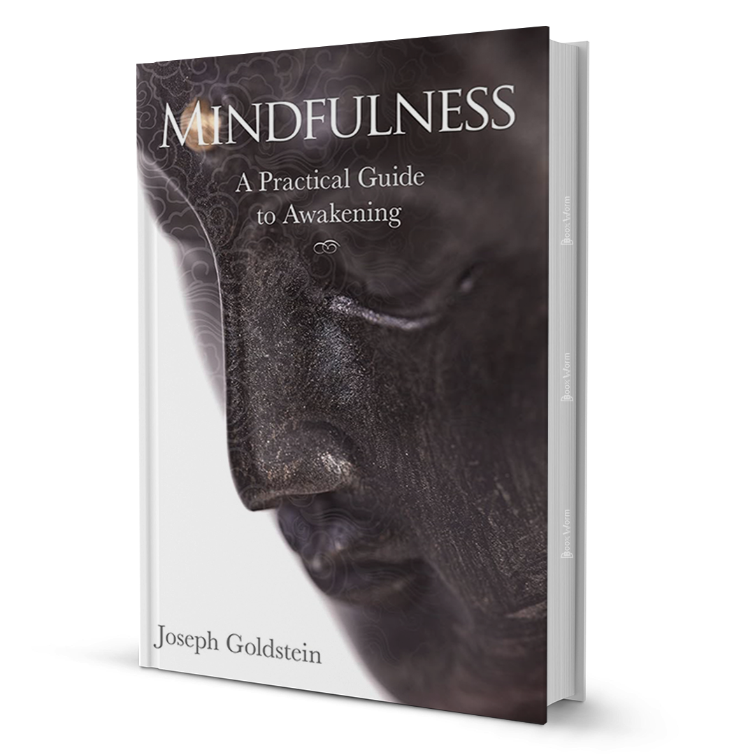 Mindfulness By Joseph Goldstein