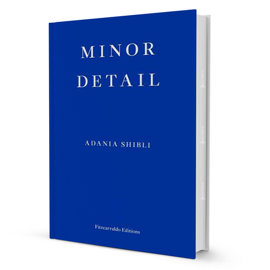 Minor Detail by Adania Shibli: A Haunting Palestinian Novella