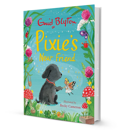 Pixie's New Friend By Enid Blyton