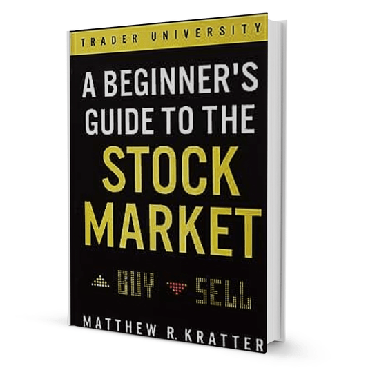 A Beginner's Guide To The Stock - BooxWorm