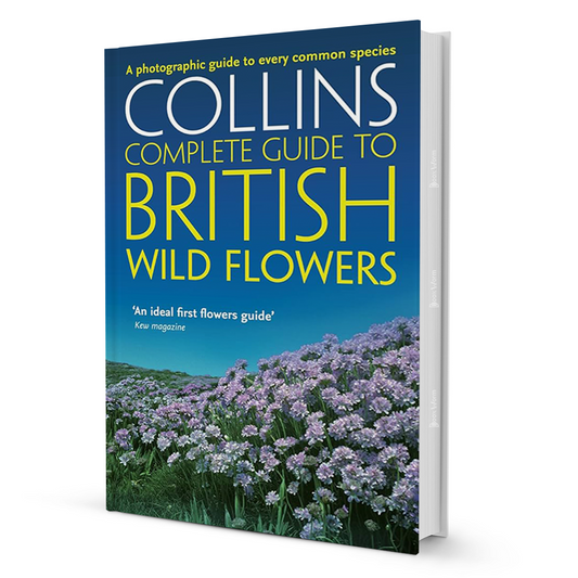 Collins Complete Guide To British Wild Flowers By Paul Sterry - BooxWorm