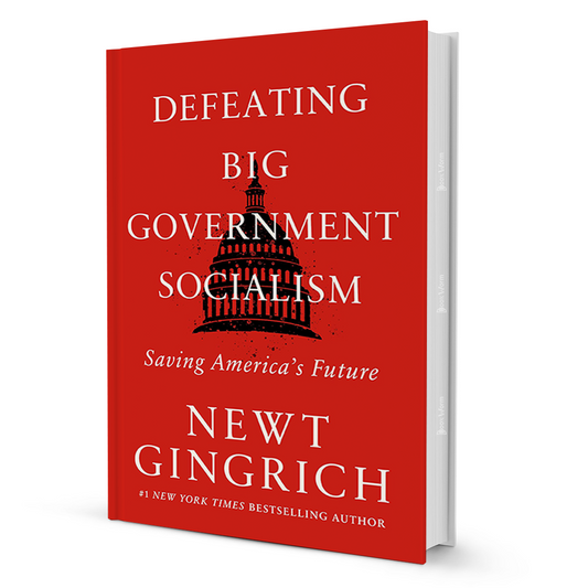 Defeating Big Government Socialism By Newt Gingrich - BooxWorm