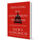 Defeating Big Government Socialism By Newt Gingrich - BooxWorm