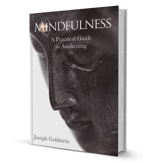Mindfulness By Joseph Goldstein - BooxWorm