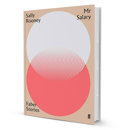 Mr Salary by Sally Rooney - BooxWorm
