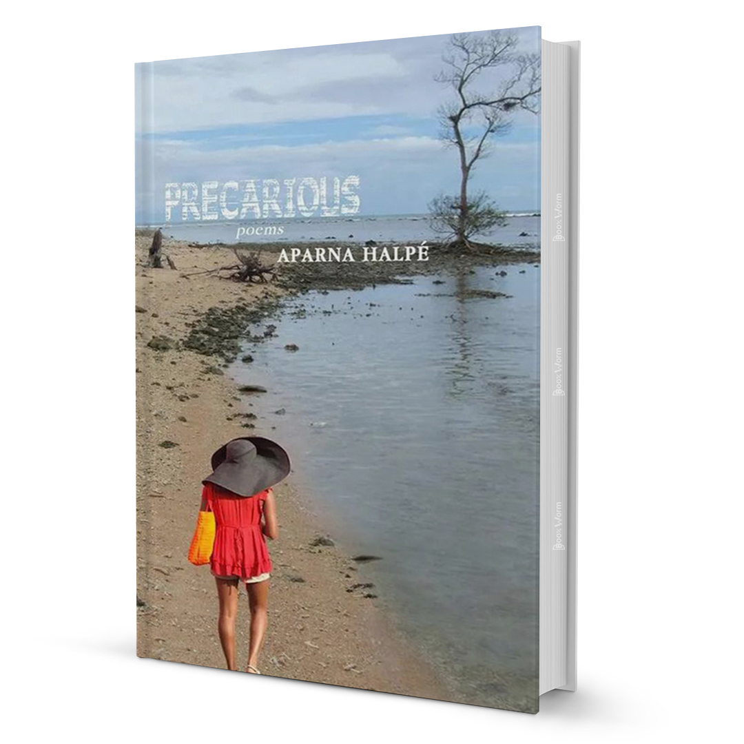 Precarious by Aparna Halpe - BooxWorm