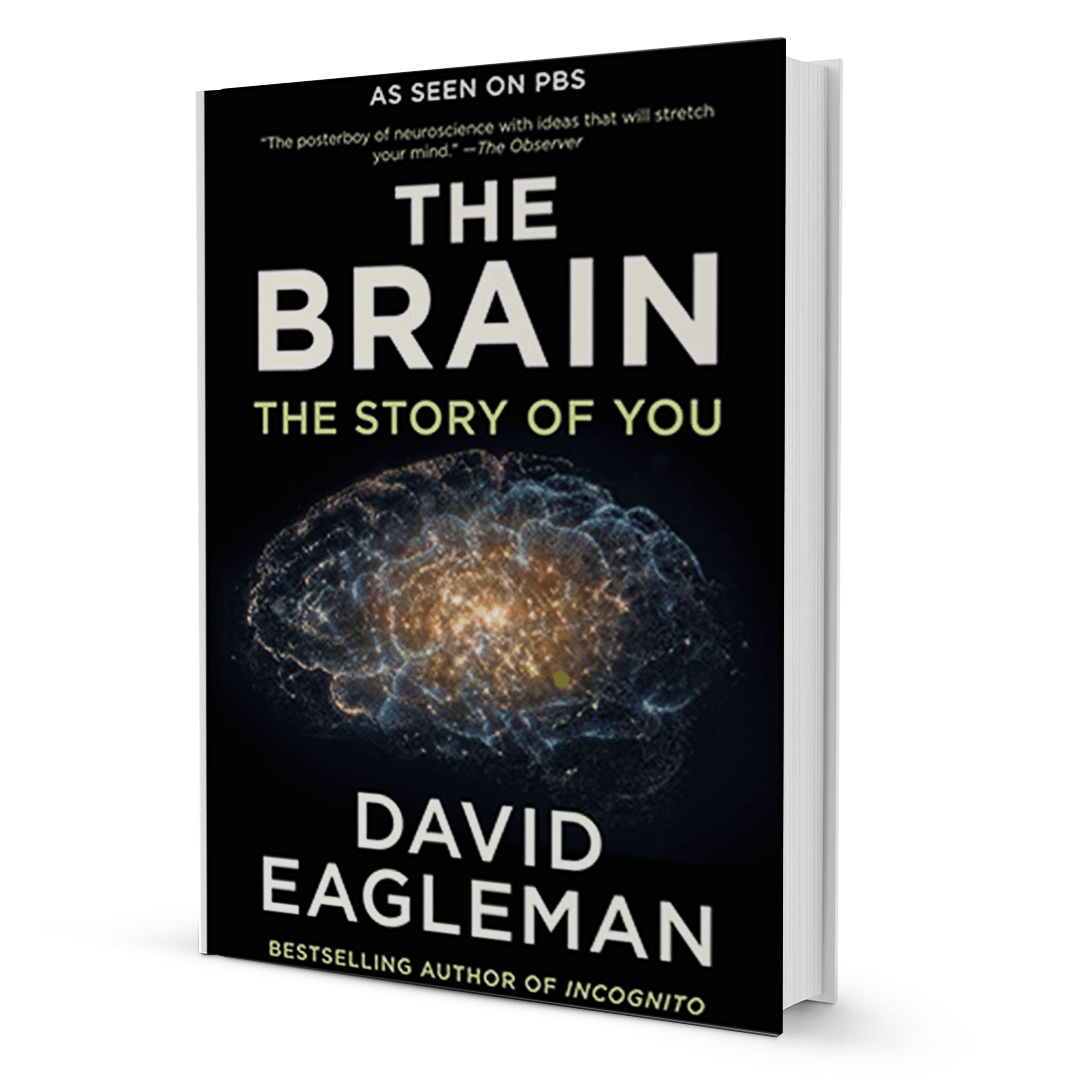 the-brain-by-david-eagleman-booxworm - BooxWorm