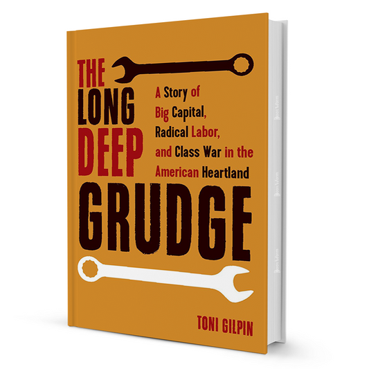 The Long Deep Grudge By Toni Gilpin - BooxWorm