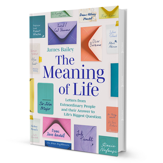 The Meaning Of Life By James Bailey - BooxWorm
