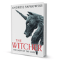 The Witcher The Lady Of The Lake By Andrzej Sapkowski - BooxWorm