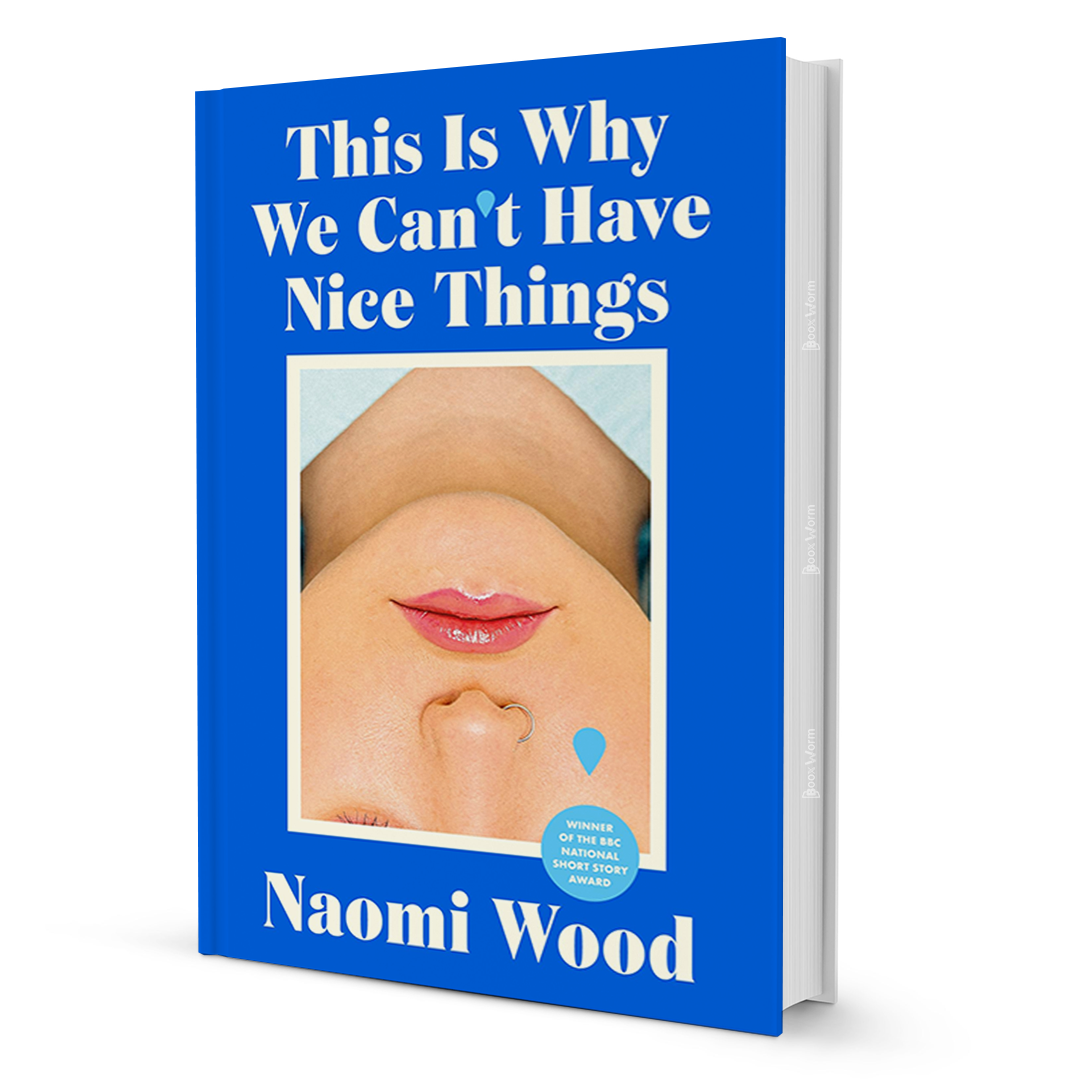 This Is Why We Can't Have Nice Things By Naomi Wood - BooxWorm
