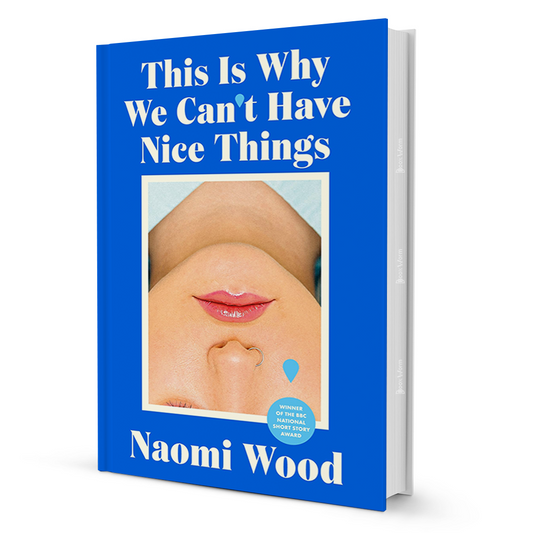 This Is Why We Can't Have Nice Things By Naomi Wood - BooxWorm