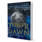 Tower of Dawn sarah J. Maas - BooxWorm